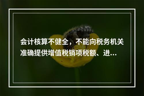 会计核算不健全，不能向税务机关准确提供增值税销项税额、进项税