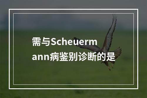 需与Scheuermann病鉴别诊断的是