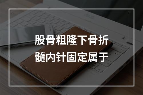 股骨粗隆下骨折髓内针固定属于