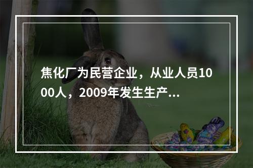 焦化厂为民营企业，从业人员1000人，2009年发生生产安全