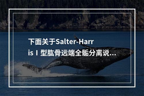 下面关于Salter-HarrisⅠ型肱骨远端全骺分离说法正