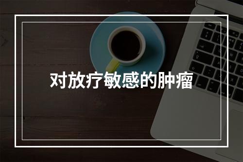 对放疗敏感的肿瘤