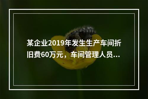 某企业2019年发生生产车间折旧费60万元，车间管理人员工资