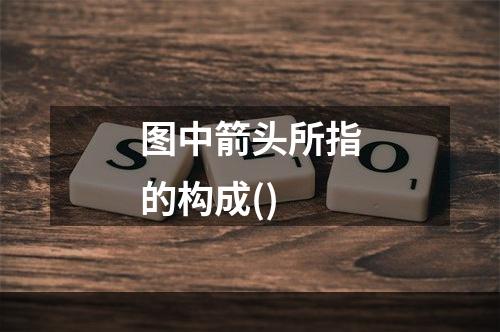 图中箭头所指的构成()