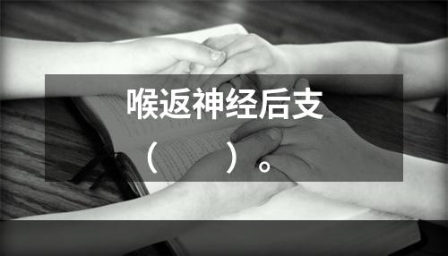 喉返神经后支（　　）。