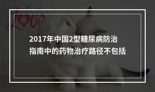 2017年中国2型糖尿病防治指南中的药物治疗路径不包括