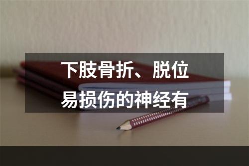 下肢骨折、脱位易损伤的神经有