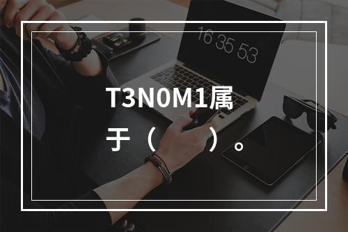 T3N0M1属于（　　）。