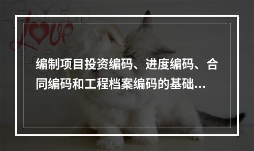 编制项目投资编码、进度编码、合同编码和工程档案编码的基础是（