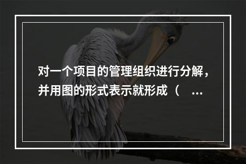 对一个项目的管理组织进行分解，并用图的形式表示就形成（　）。