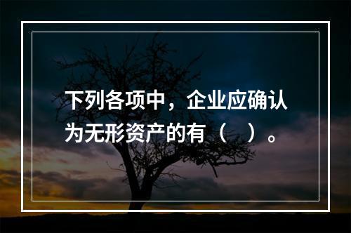 下列各项中，企业应确认为无形资产的有（　）。