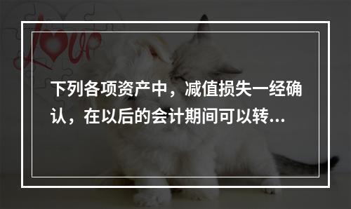 下列各项资产中，减值损失一经确认，在以后的会计期间可以转回的