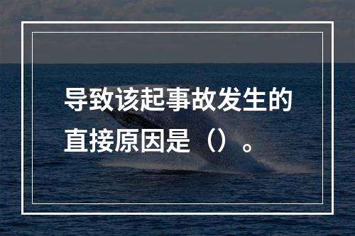 导致该起事故发生的直接原因是（）。