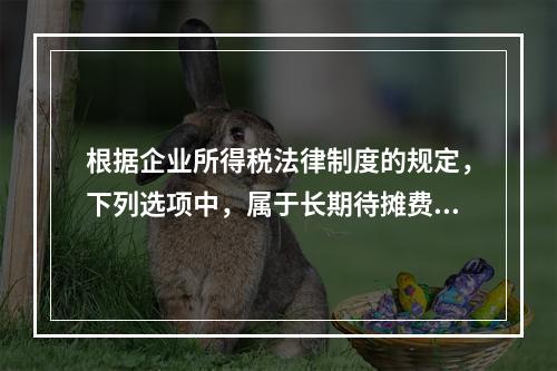 根据企业所得税法律制度的规定，下列选项中，属于长期待摊费用的