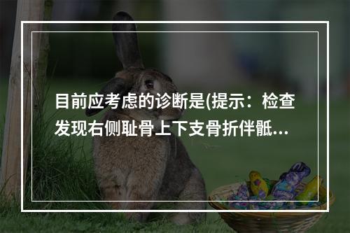 目前应考虑的诊断是(提示：检查发现右侧耻骨上下支骨折伴骶髂关