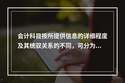 会计科目按所提供信息的详细程度及其统驭关系的不同，可分为（