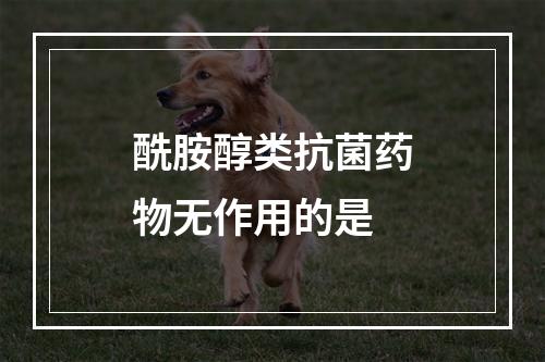 酰胺醇类抗菌药物无作用的是