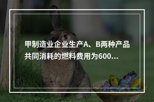 甲制造业企业生产A、B两种产品共同消耗的燃料费用为6000元