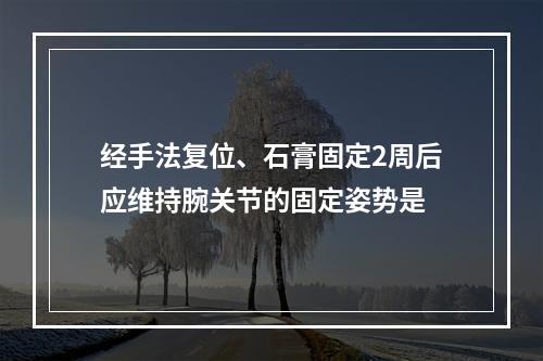 经手法复位、石膏固定2周后应维持腕关节的固定姿势是