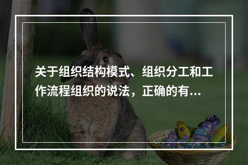 关于组织结构模式、组织分工和工作流程组织的说法，正确的有（　