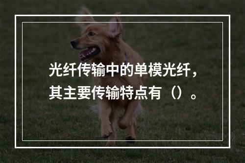 光纤传输中的单模光纤，其主要传输特点有（）。