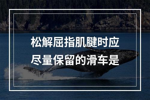 松解屈指肌腱时应尽量保留的滑车是