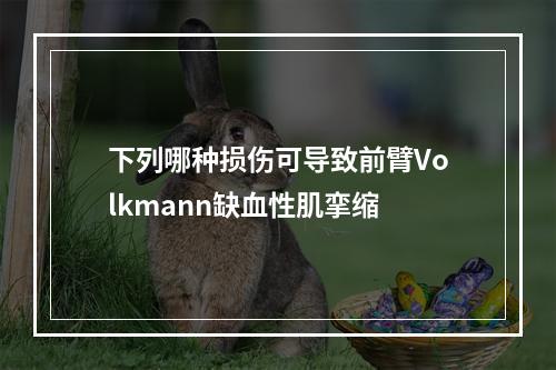 下列哪种损伤可导致前臂Volkmann缺血性肌挛缩