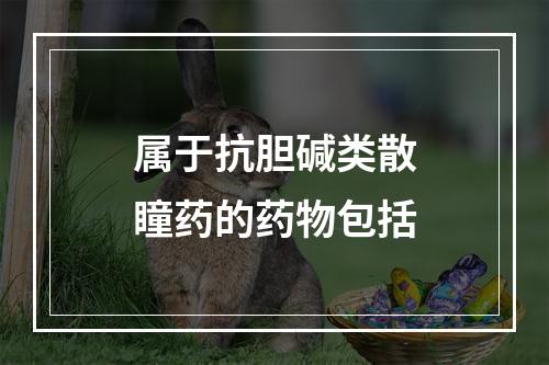 属于抗胆碱类散瞳药的药物包括