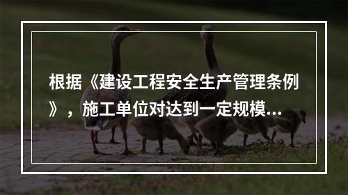 根据《建设工程安全生产管理条例》，施工单位对达到一定规模的危