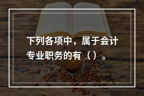 下列各项中，属于会计专业职务的有（ ）。