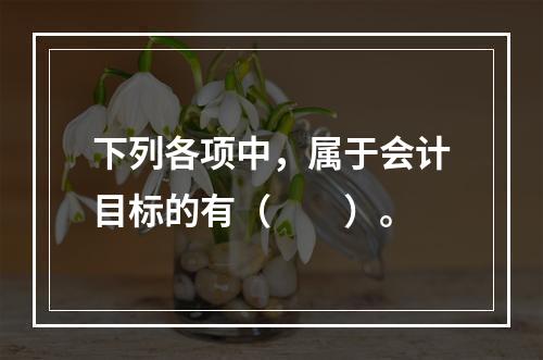 下列各项中，属于会计目标的有（　　）。