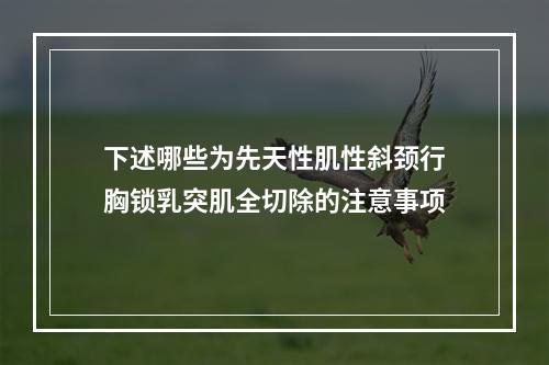 下述哪些为先天性肌性斜颈行胸锁乳突肌全切除的注意事项