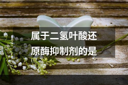 属于二氢叶酸还原酶抑制剂的是