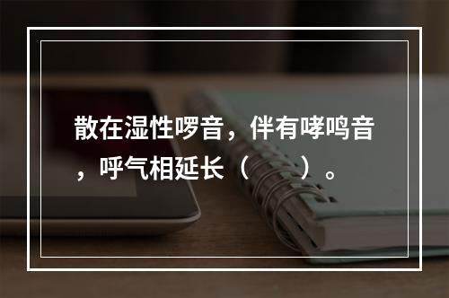 散在湿性啰音，伴有哮鸣音，呼气相延长（　　）。