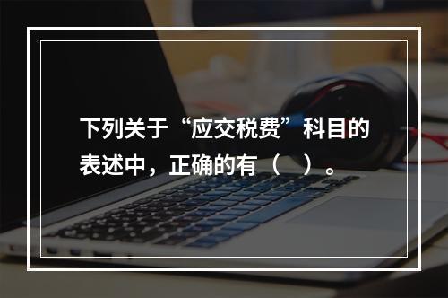 下列关于“应交税费”科目的表述中，正确的有（　）。