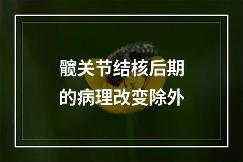 髋关节结核后期的病理改变除外