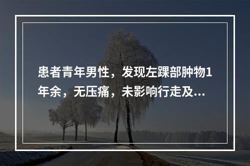 患者青年男性，发现左踝部肿物1年余，无压痛，未影响行走及工作