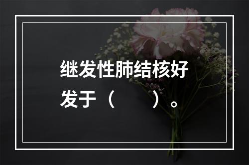 继发性肺结核好发于（　　）。