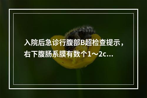 入院后急诊行腹部B超检查提示，右下腹肠系膜有数个1～2cm大