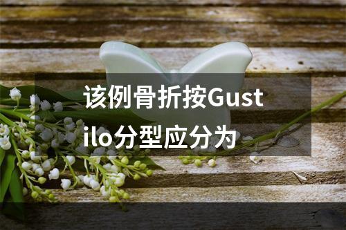 该例骨折按Gustilo分型应分为