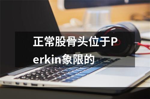 正常股骨头位于Perkin象限的