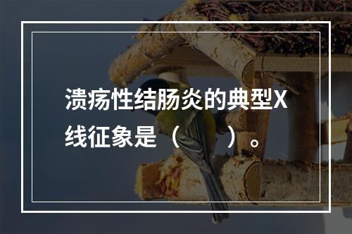 溃疡性结肠炎的典型X线征象是（　　）。