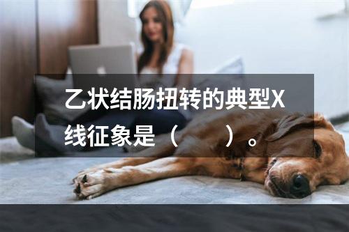 乙状结肠扭转的典型X线征象是（　　）。