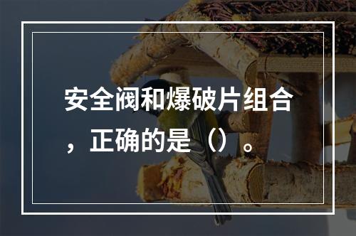 安全阀和爆破片组合，正确的是（）。