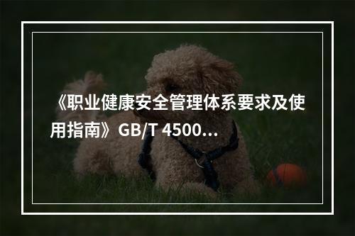 《职业健康安全管理体系要求及使用指南》GB/T 45001—