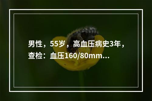 男性，55岁，高血压病史3年，查检：血压160/80mmHg