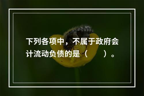 下列各项中，不属于政府会计流动负债的是（　　）。