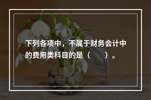 下列各项中，不属于财务会计中的费用类科目的是（　　）。