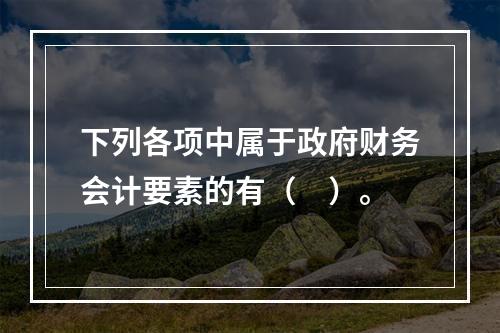 下列各项中属于政府财务会计要素的有（　）。