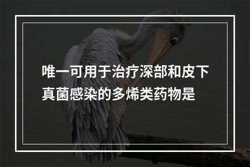 唯一可用于治疗深部和皮下真菌感染的多烯类药物是